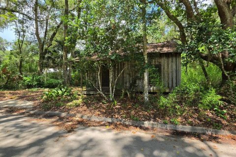 Land in Micanopy, Florida № 2161318 - photo 1