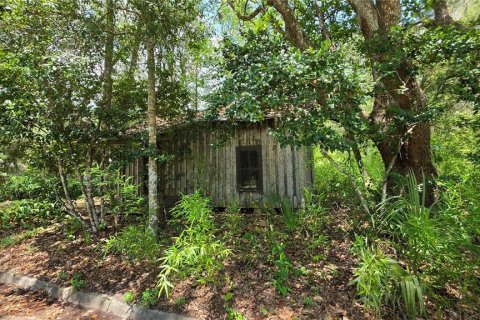 Land in Micanopy, Florida № 2161318 - photo 13