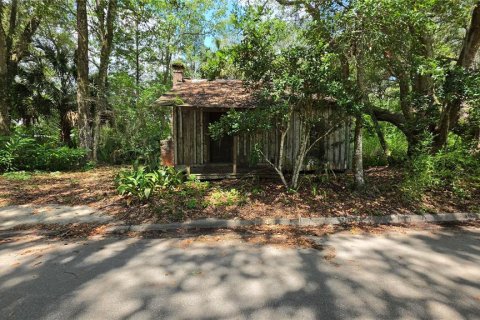 Land in Micanopy, Florida № 2161318 - photo 2