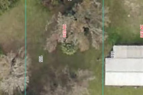 Land in Ocala, Florida № 2259588 - photo 2