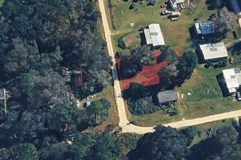 Land in Ocala, Florida № 2259588 - photo 3