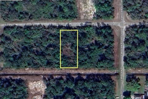 Terrain à Indian lake estates, Floride № 2229893