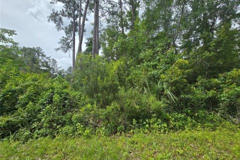 Terrain à Ocklawaha, Floride № 2204313