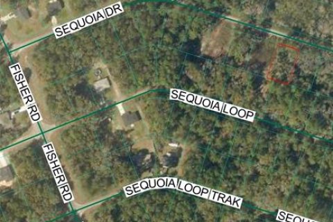 Land in Ocklawaha, Florida № 2204313 - photo 3