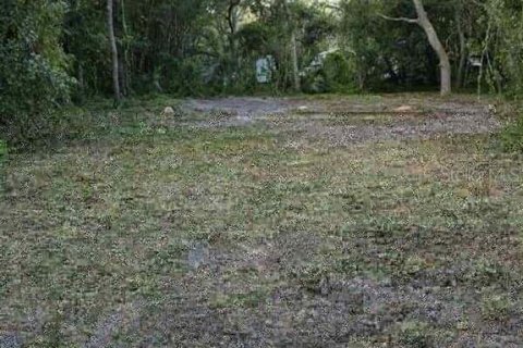 Terrain à New Port Richey, Floride № 2160783