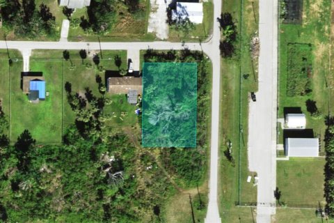 Land in Punta Gorda, Florida № 2161782 - photo 5