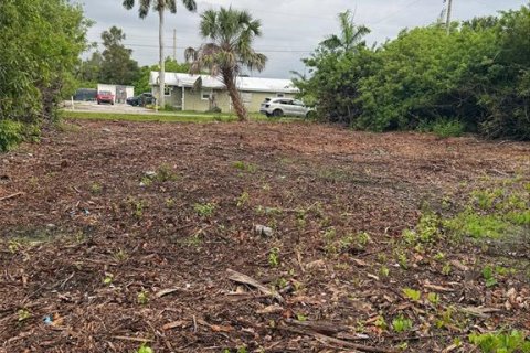 Land in Punta Gorda, Florida № 2161782 - photo 4