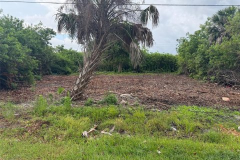 Land in Punta Gorda, Florida № 2161782