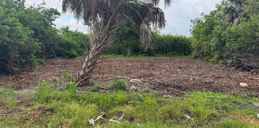 Land in Punta Gorda, Florida № 2161782