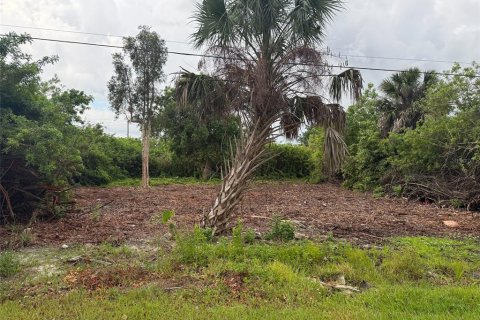 Land in Punta Gorda, Florida № 2161782 - photo 3