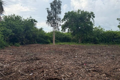 Land in Punta Gorda, Florida № 2161782 - photo 2