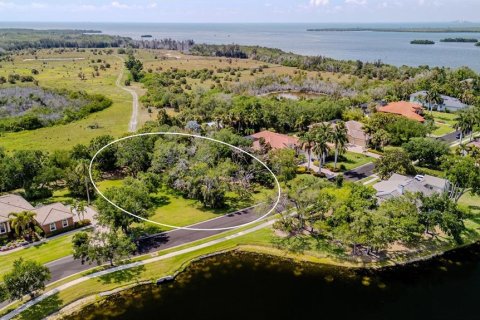 Terrain à Palmetto, Floride № 2097837