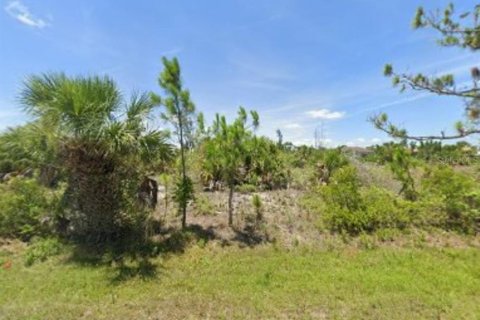 Land in Port Charlotte, Florida № 2163237