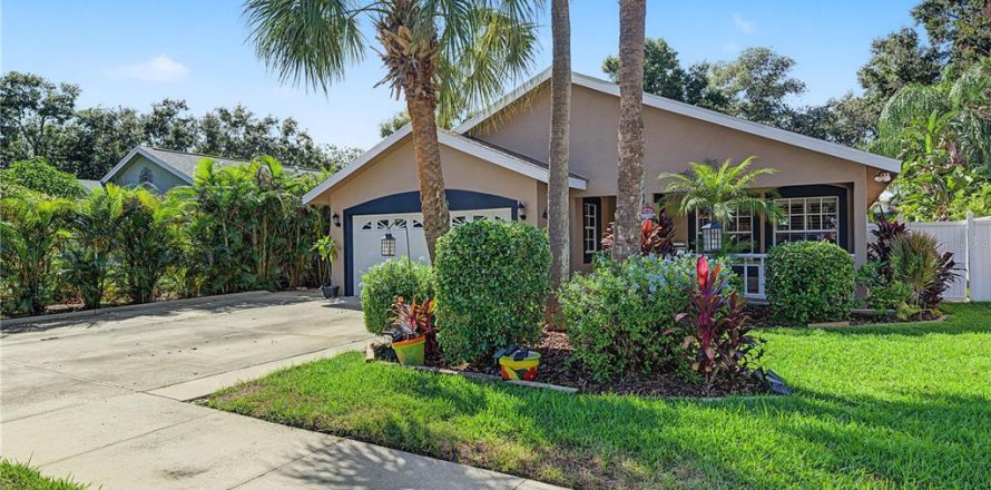 Villa ou maison à Safety Harbor, Floride 4 chambres, 196.12 m2 № 2435061