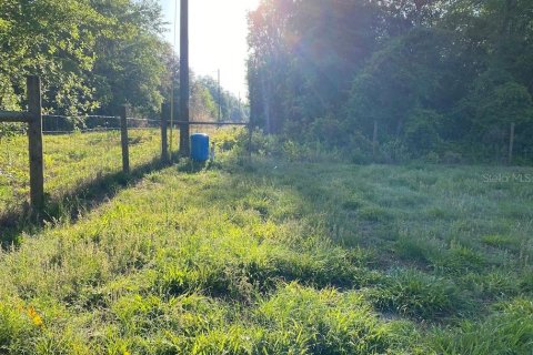 Land in Florahome, Florida № 1854516 - photo 9