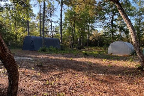 Land in Florahome, Florida № 1854516 - photo 15