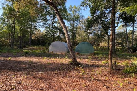 Land in Florahome, Florida № 1854516 - photo 13