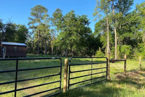 Land in Florahome, Florida № 1854516 - photo 8