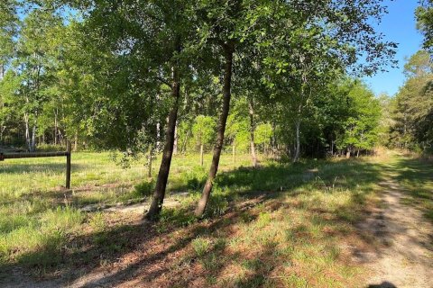 Land in Florahome, Florida № 1854516 - photo 3