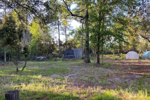 Land in Florahome, Florida № 1854516 - photo 4