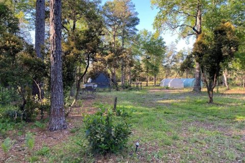 Land in Florahome, Florida № 1854516 - photo 14
