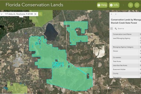 Land in Florahome, Florida № 1854516 - photo 20