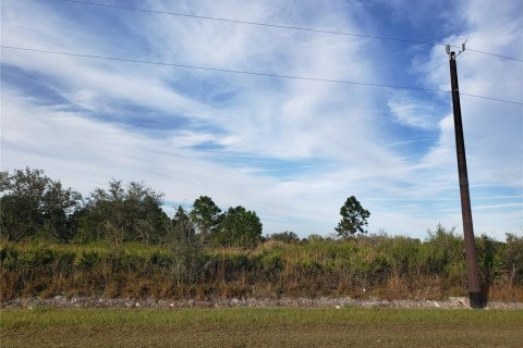 Land in Okeechobee, Florida № 2159910