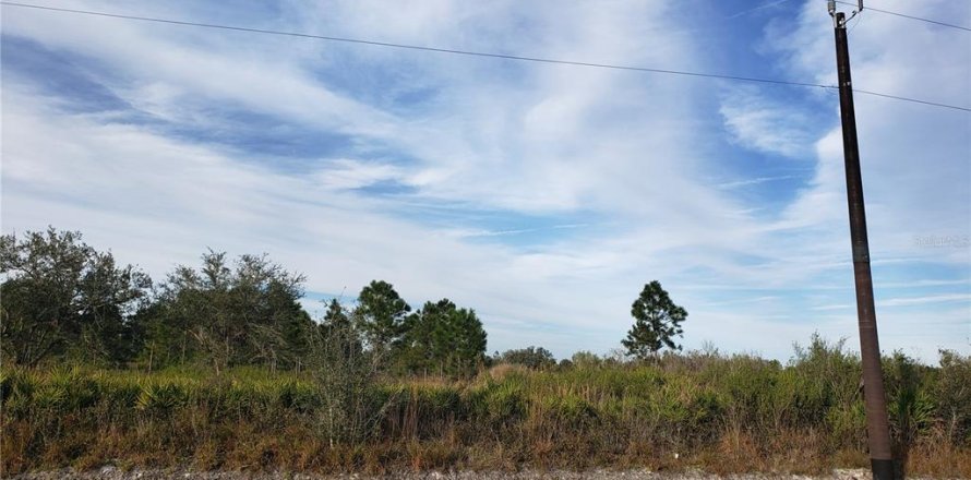Land in Okeechobee, Florida № 2159910