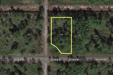 Land in Indian lake estates, Florida № 2164962