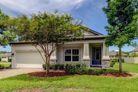 Villa ou maison à vendre à Odessa, Floride: 6 chambres, 277.59 m2 № 1916602 - photo 1