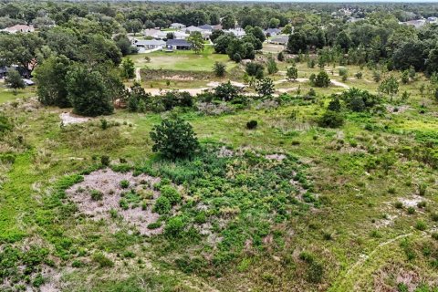 Купить земельный участок в Окала, Флорида № 2110455 - фото 19