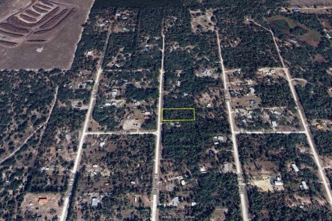 Land in Perry, Florida № 1904463 - photo 1