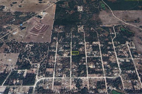 Land in Perry, Florida № 1904463 - photo 2