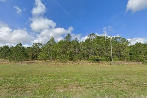 Terreno en venta en Polk City, Florida № 2235289 - foto 2