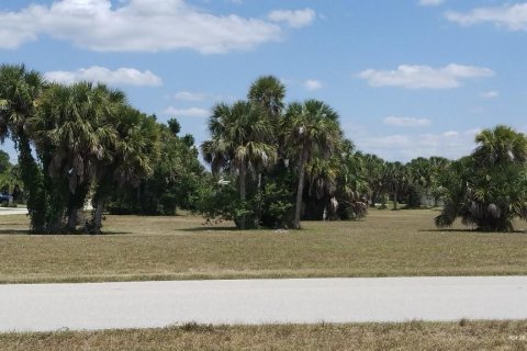 Land in Punta Gorda, Florida № 1148838 - photo 5
