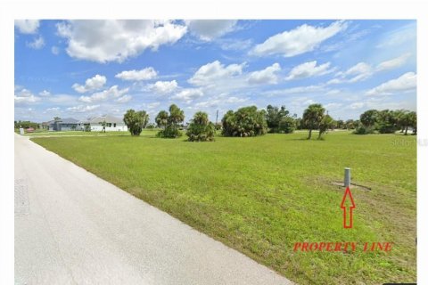 Land in Punta Gorda, Florida № 1148838 - photo 12