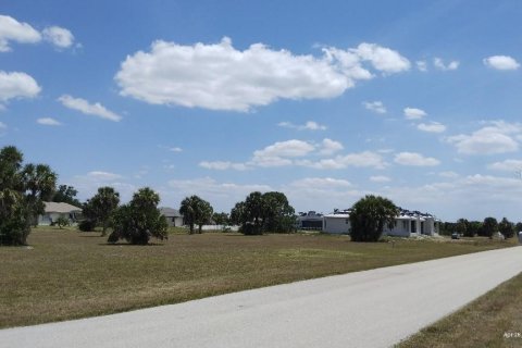 Land in Punta Gorda, Florida № 1148838 - photo 3