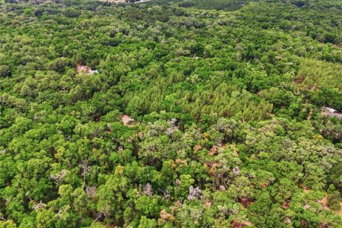 Terreno en venta en Archer, Florida № 2103239 - foto 16