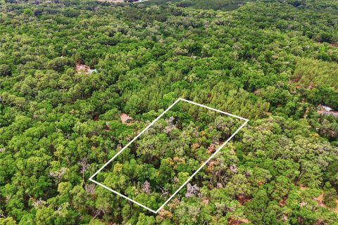 Terrain à Archer, Floride № 2103239