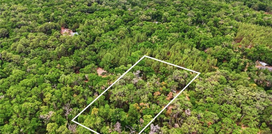 Terreno en Archer, Florida № 2103239