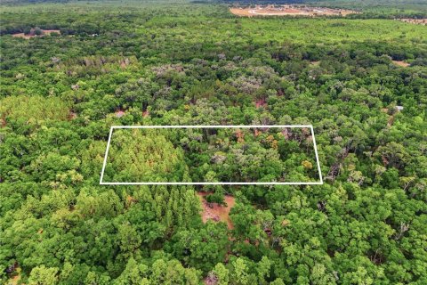 Terreno en venta en Archer, Florida № 2103239 - foto 4