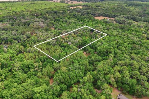 Terreno en venta en Archer, Florida № 2103239 - foto 3