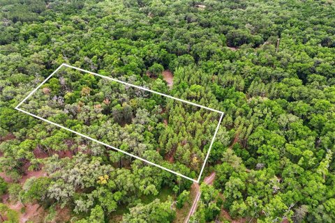 Terreno en venta en Archer, Florida № 2103239 - foto 2