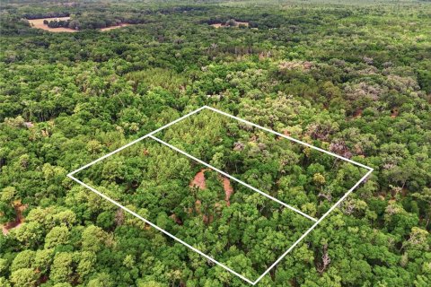 Terreno en venta en Archer, Florida № 2103239 - foto 13