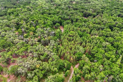 Terreno en venta en Archer, Florida № 2103239 - foto 8
