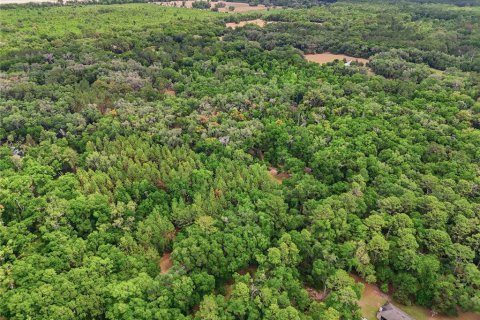 Terreno en venta en Archer, Florida № 2103239 - foto 10