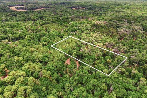 Terreno en venta en Archer, Florida № 2103239 - foto 5