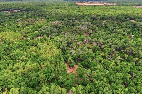 Terreno en venta en Archer, Florida № 2103239 - foto 12