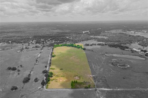 Land in Lake Panasoffkee, Florida № 414445 - photo 2