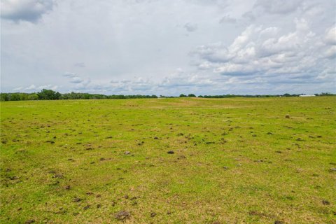 Land in Lake Panasoffkee, Florida № 414445 - photo 3